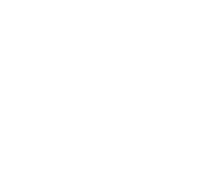 Lower Town Hall